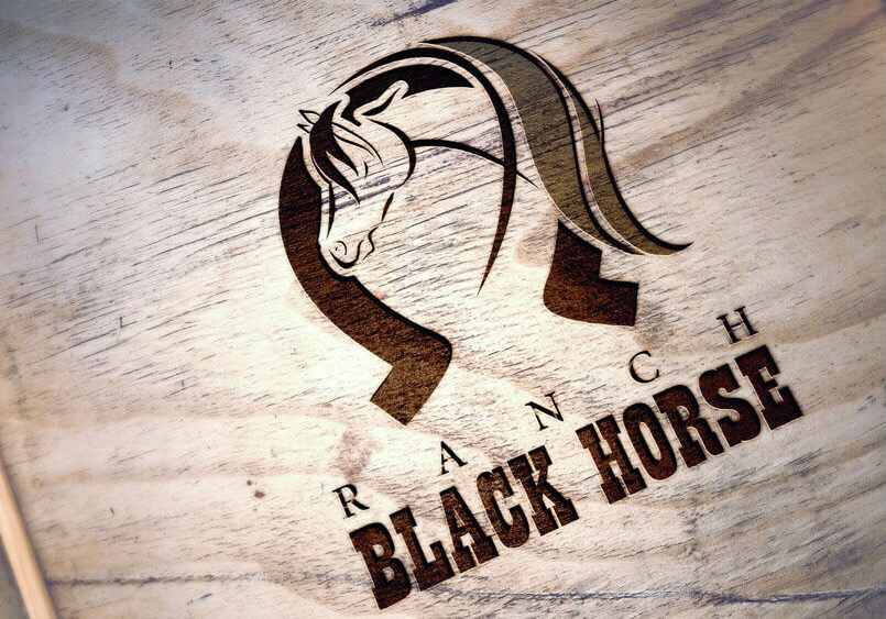 Conception graphique du logo de Ranch Black Horse